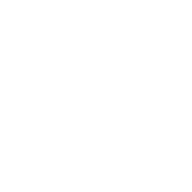 Bazique Festival