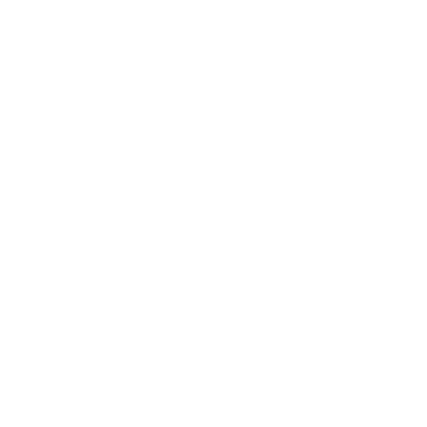 Dell Dell
